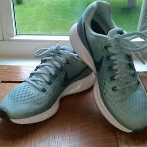 Nike zoom pegasus 34 runners